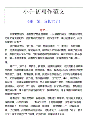 小升初写作范文 《那一刻我长大了》.docx
