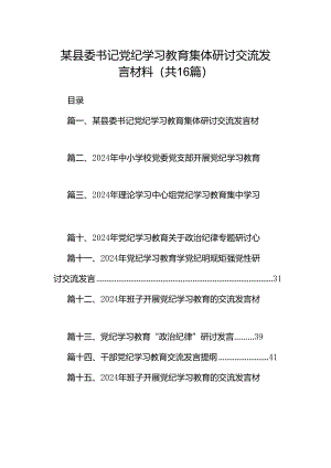 某县委书记党纪学习教育集体研讨交流发言材料（共16篇）.docx