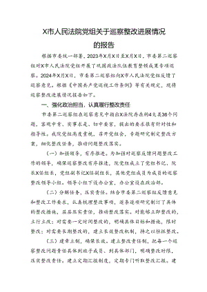 X市人民法院党组关于巡察整改进展情况的报告.docx