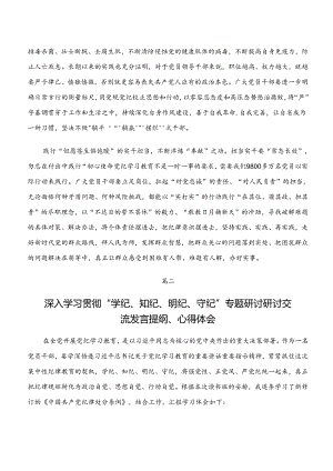2024年度“学纪、知纪、明纪、守纪”专题研讨研讨交流发言提纲、学习心得.docx