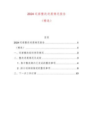 2024巡察整改进展情况报告.docx