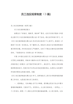 员工违反规章制度（3篇）.docx