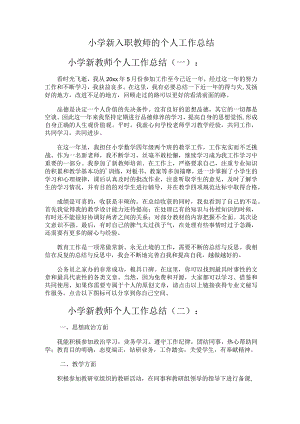 289.小学新入职教师的个人工作总结.docx