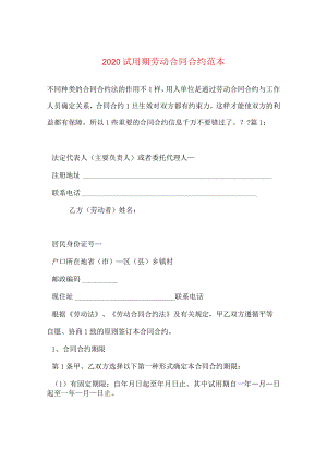 2024试用期劳动合同合约例文.docx