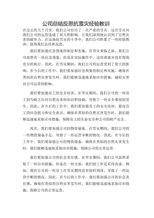 公司总结反思抗雪灾经验教训.docx