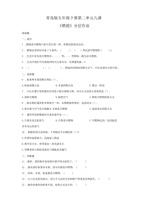 青岛版科学五年级下册9燃烧同步分层作业.docx