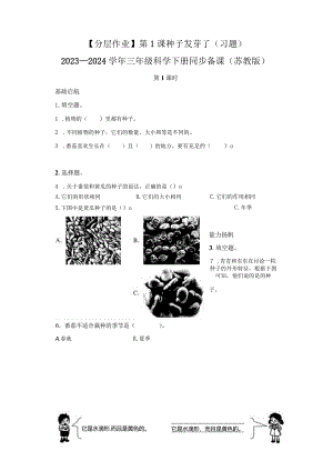 苏教版科学三年级下册1种子发芽了练习卷.docx