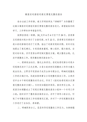 镇落实巡察组巡察反馈意见整改报告.docx