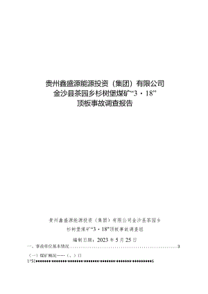 贵州鑫盛源能源投资（集团）有限公司金沙县茶园乡杉树堡煤矿“3·18”顶板事故调查报告.docx