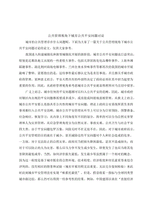 公共管理视角下城市公共安全问题探讨.docx