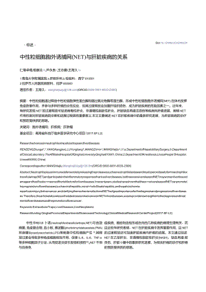 中性粒细胞胞外诱捕网（NET）与肝脏疾病的关系.docx