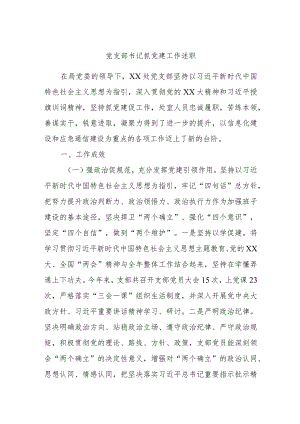 党支部书记抓党建工作述职.docx