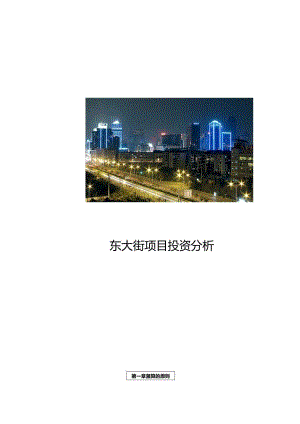 成都东大街项目经济测算投资分析报告.docx