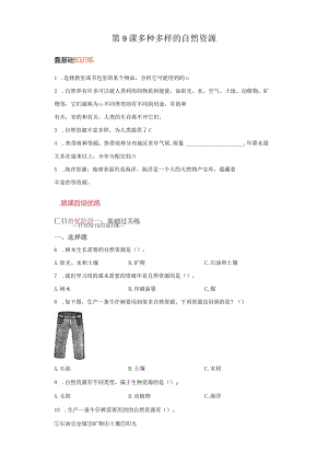 苏教版科学六年级下册9多种多样的自然资源同步分层作业.docx