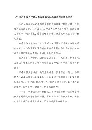 XX局严格落实中央纪委国家监委纪检监察建议整改方案.docx
