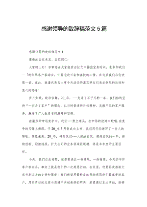 感谢领导的致辞稿范文5篇.docx