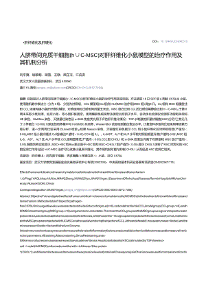 人脐带间充质干细胞（hUC-MSC）对肝纤维化小鼠模型的治疗作用及其机制分析.docx