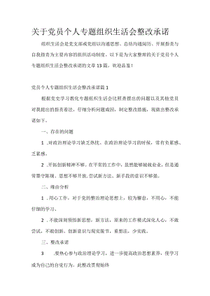 关于党员个人专题组织生活会整改承诺.docx