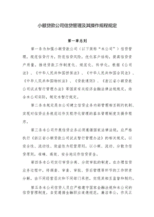 小额贷款公司信贷管理及其操作规程规定.docx