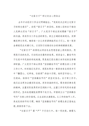 “过紧日子”研讨发言心得体会.docx