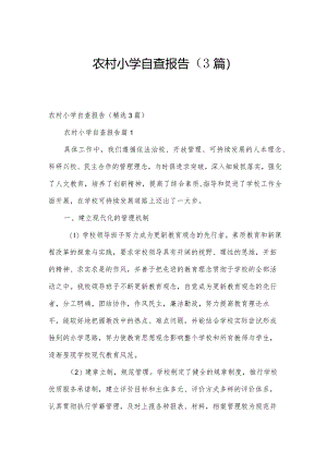 农村小学自查报告（3篇）.docx