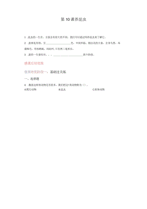 苏教版科学四年级下册10养昆虫同步分层作业.docx