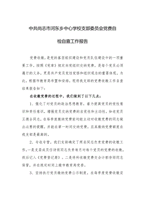 河东乡中心学校党支部党费自检自查工作报告.docx