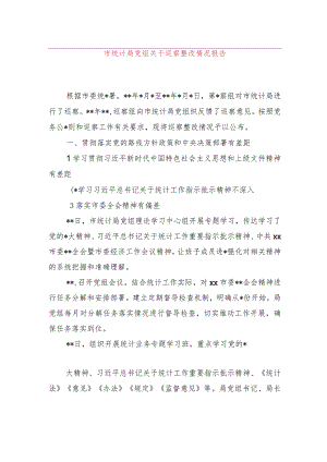 市统计局党组关于巡察整改情况报告.docx