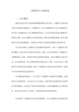 大数据审计文献综述.docx