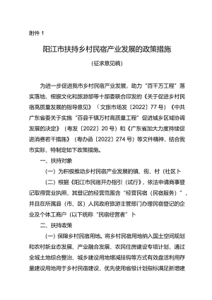 阳江市扶持乡村民宿产业发展的政策措施（征求意见稿）.docx