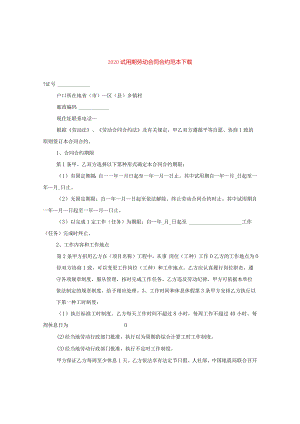 2024试用期劳动合同合约例文下载.docx