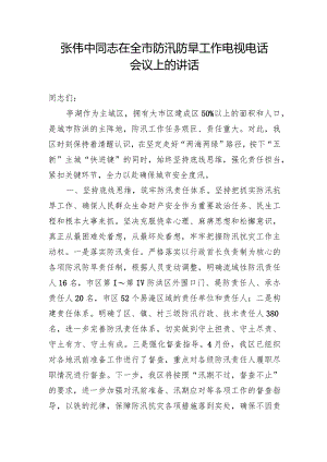张伟中同志在全市防汛防旱工作电视电话会议上的讲话.docx