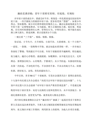 廉政党课讲稿：青年干部要有原则、有底线、有规矩.docx