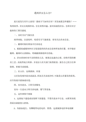 遇到洪灾怎么办？（2024年）.docx