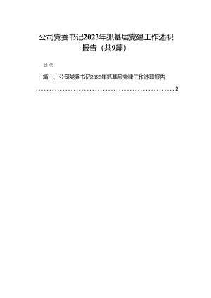 公司党委书记2023年抓基层党建工作述职报告9篇（详细版）.docx