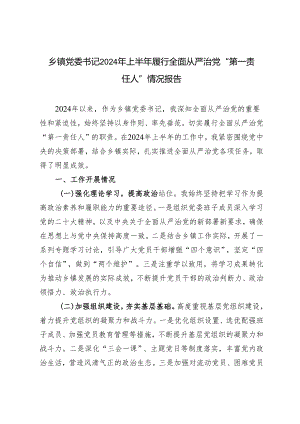 2024年上半年乡镇党委书记履行全面从严治党“第一责任人”情况报告.docx