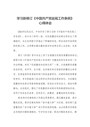 学习2024版新修订《中国共产党巡视工作条例》心得体会八篇.docx