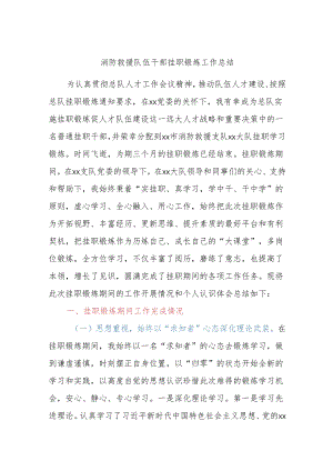 消防救援队伍干部挂职锻炼工作总结.docx