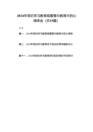 （15篇）2024年党纪学习教育观看警示教育片的心得体会（详细版）.docx
