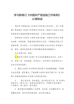 2024学习新修改的《中国共产党巡视工作条例》的心得体会8篇.docx
