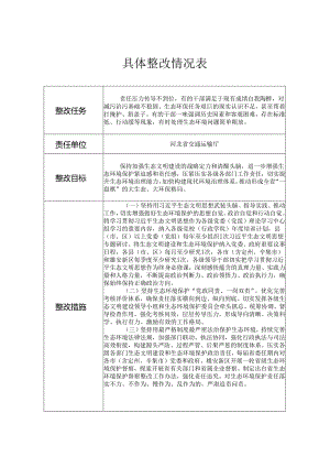 具体整改情况表.docx