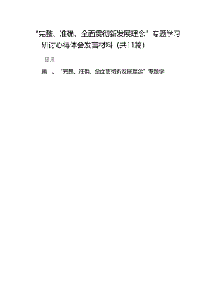 “完整、准确、全面贯彻新发展理念”专题学习研讨心得体会发言材料范文精选(11篇).docx