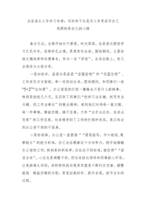 在县委办工作学习有感：写材料不仅是写工作更是写自己观照的是自己的心镜.docx