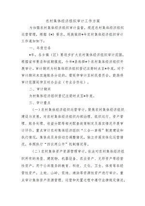 农村集体经济组织审计工作方案.docx