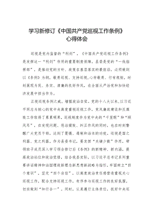 2024年学习新修订《中国共产党巡视工作条例》心得体会8篇.docx
