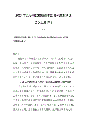 2024年纪委书记在新任干部集体廉政谈话会议上的讲话.docx