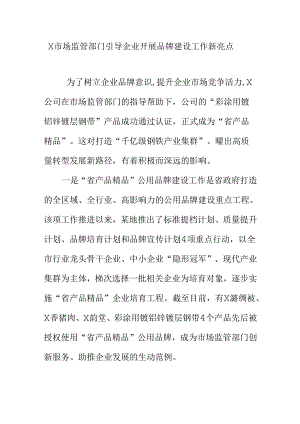 X市场监管部门引导企业开展品牌建设工作新亮点.docx
