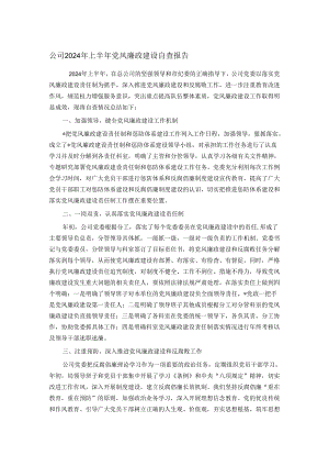 公司2024年上半年党风廉政建设自查报告.docx