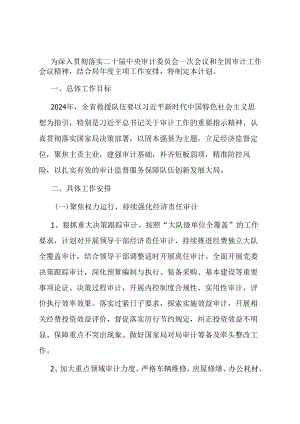 2024年度审计工作实施方案.docx
