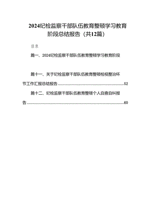 （12篇）纪检监察干部队伍教育整顿学习教育阶段总结报告完整版.docx